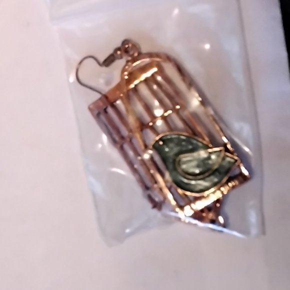 COPY - NEW Asymmetric Blue Birdcage Bird Cage Antique Bronze Dangle Earring FEA… - Picture 7 of 8